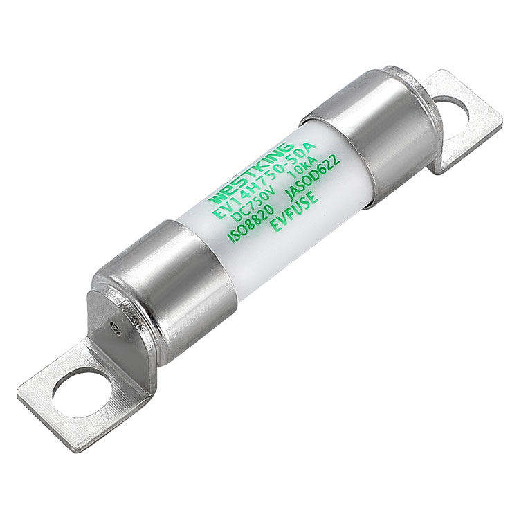 Future Development trends of China's EV Fuse Industry
